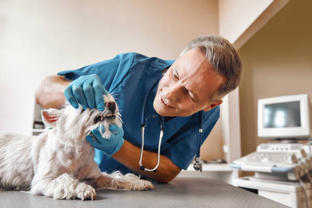 Best Emergency Tooth Extraction in San Dimas, CA